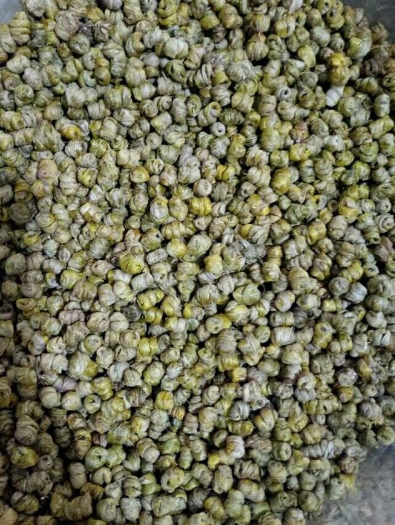 铁皮石斛枫斗石斛批发零售各种规格中药材批发