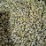 铁皮石斛枫斗石斛批发零售各种规格中药材批发