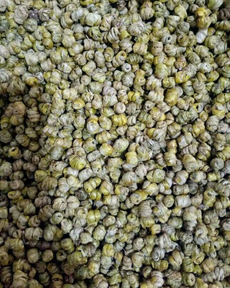 铁皮石斛枫斗石斛批发零售各种规格中药材批发