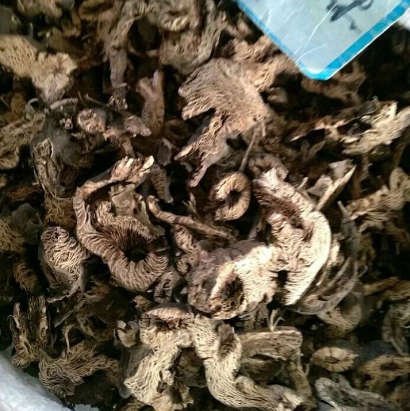 升麻各种中药材批发质量保证