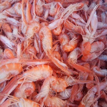 红虾食用冻虾
