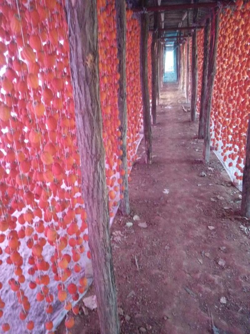 柿饼1~2两