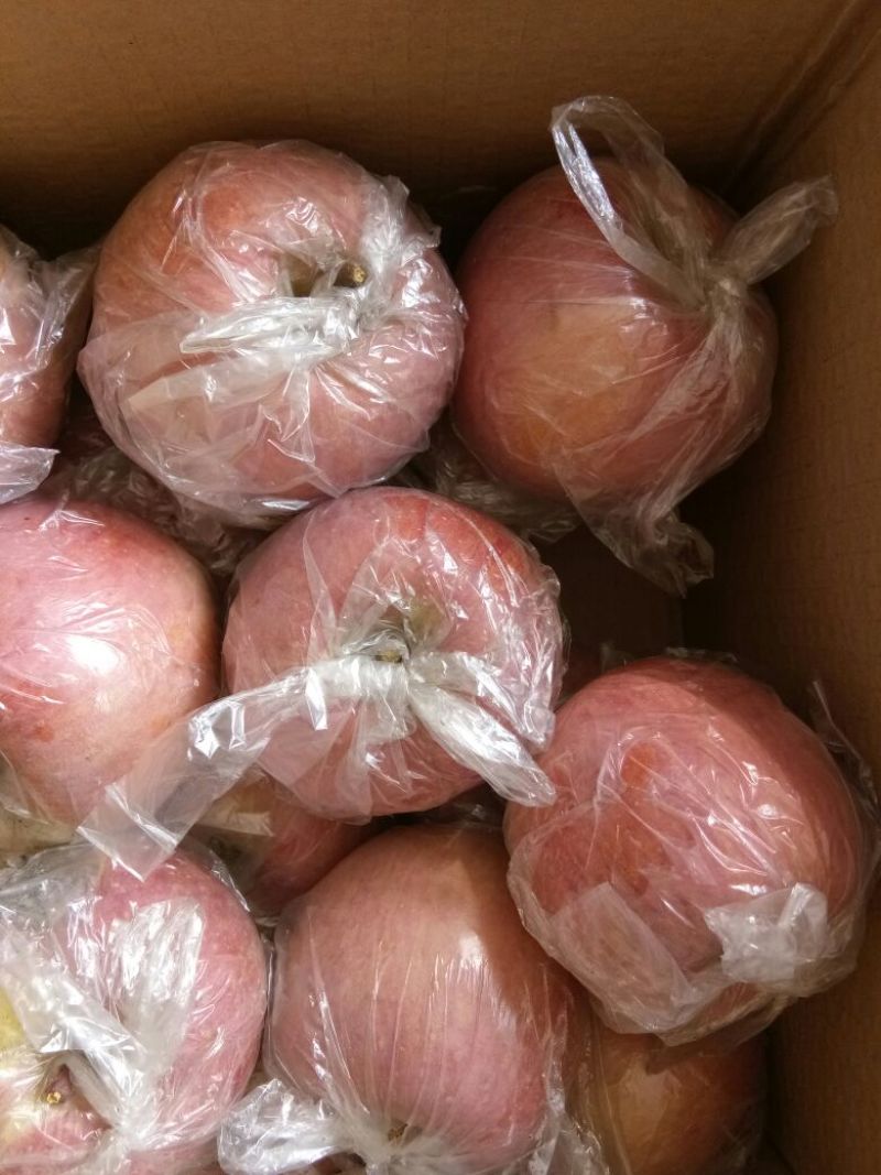 红富士苹果80mm以上膜袋