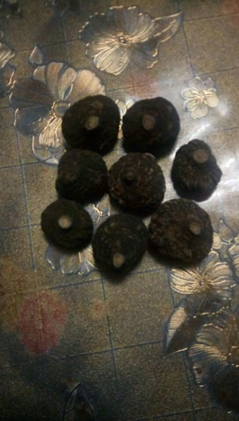 黑玛卡黑色