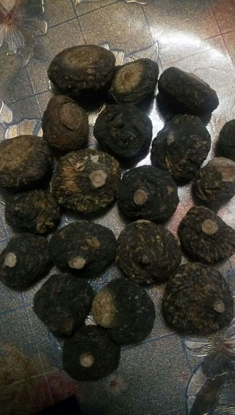 黑玛卡黑色
