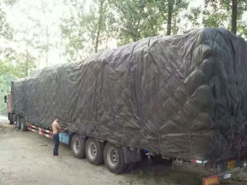 毛木耳一级来自江苏丰县