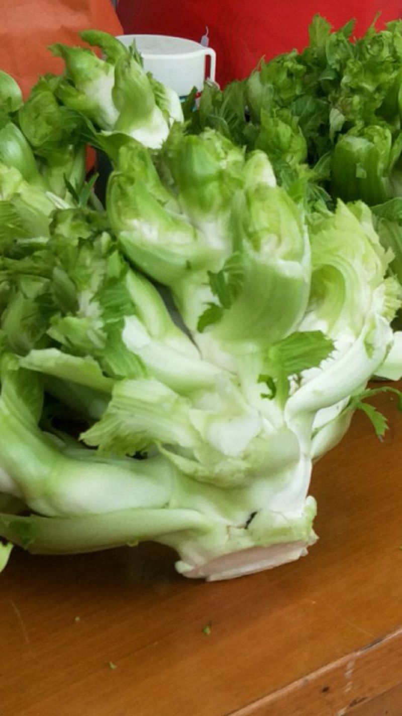 精品儿菜1.5斤以上出售