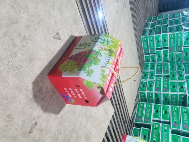 巨峰葡萄5%以下0.8~1斤