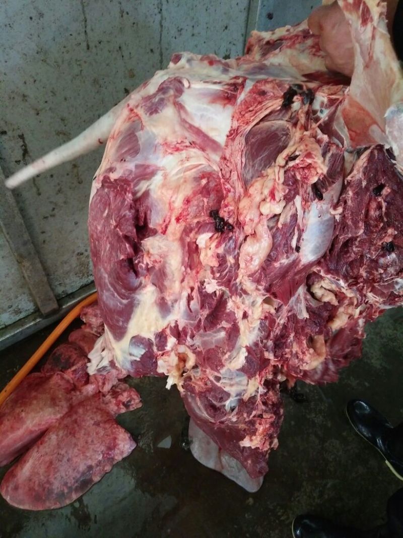 驴肉鲜货