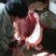 驴肉鲜货