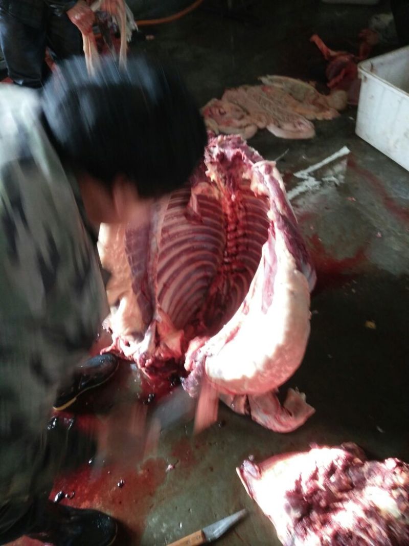 驴肉鲜货