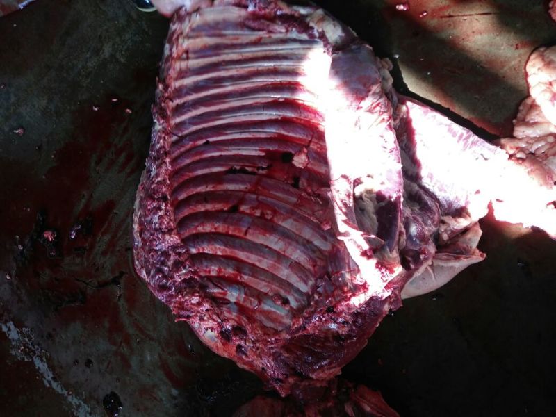 驴肉鲜货