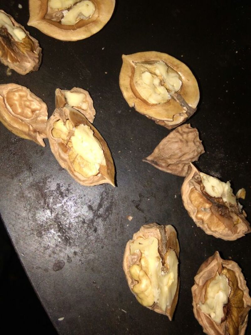 核桃去皮25~30mm干