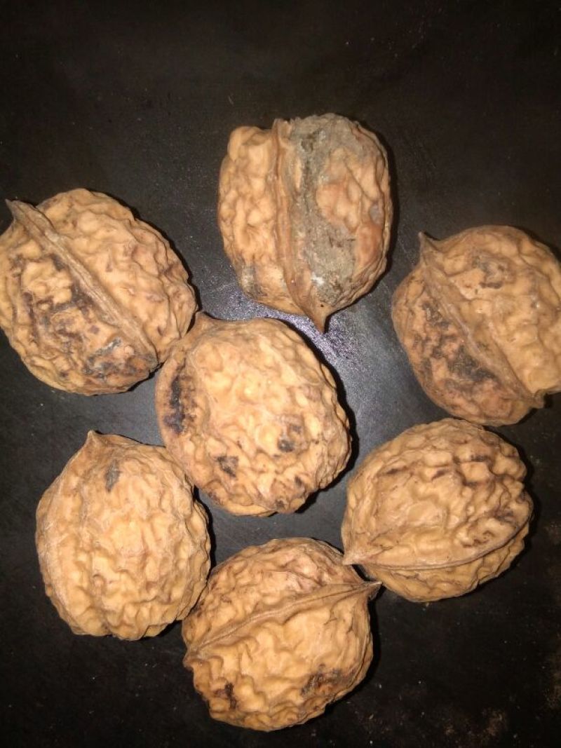 铁核桃去皮25~30mm干