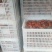 柿饼1~2两