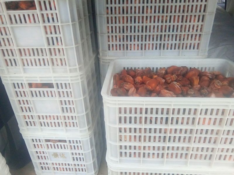 柿饼1~2两