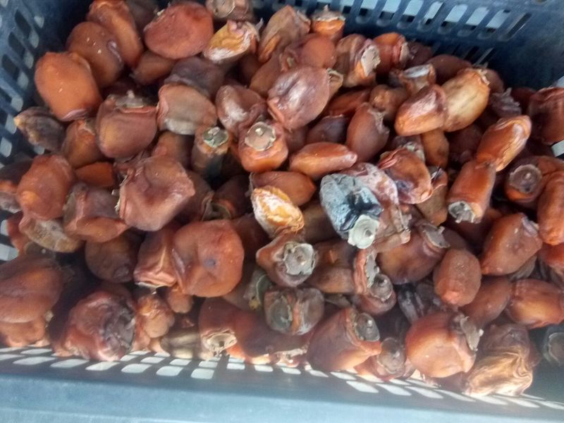 柿饼1~2两