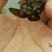 龙虾苗虾苗人工养殖淡水龙虾苗洪泽湖盱眙