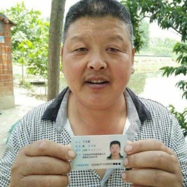 龙虾小龙虾苗淡水龙虾苗盱眙人工培育苗龙虾苗