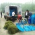 龙虾小龙虾苗淡水龙虾苗盱眙人工培育苗龙虾苗