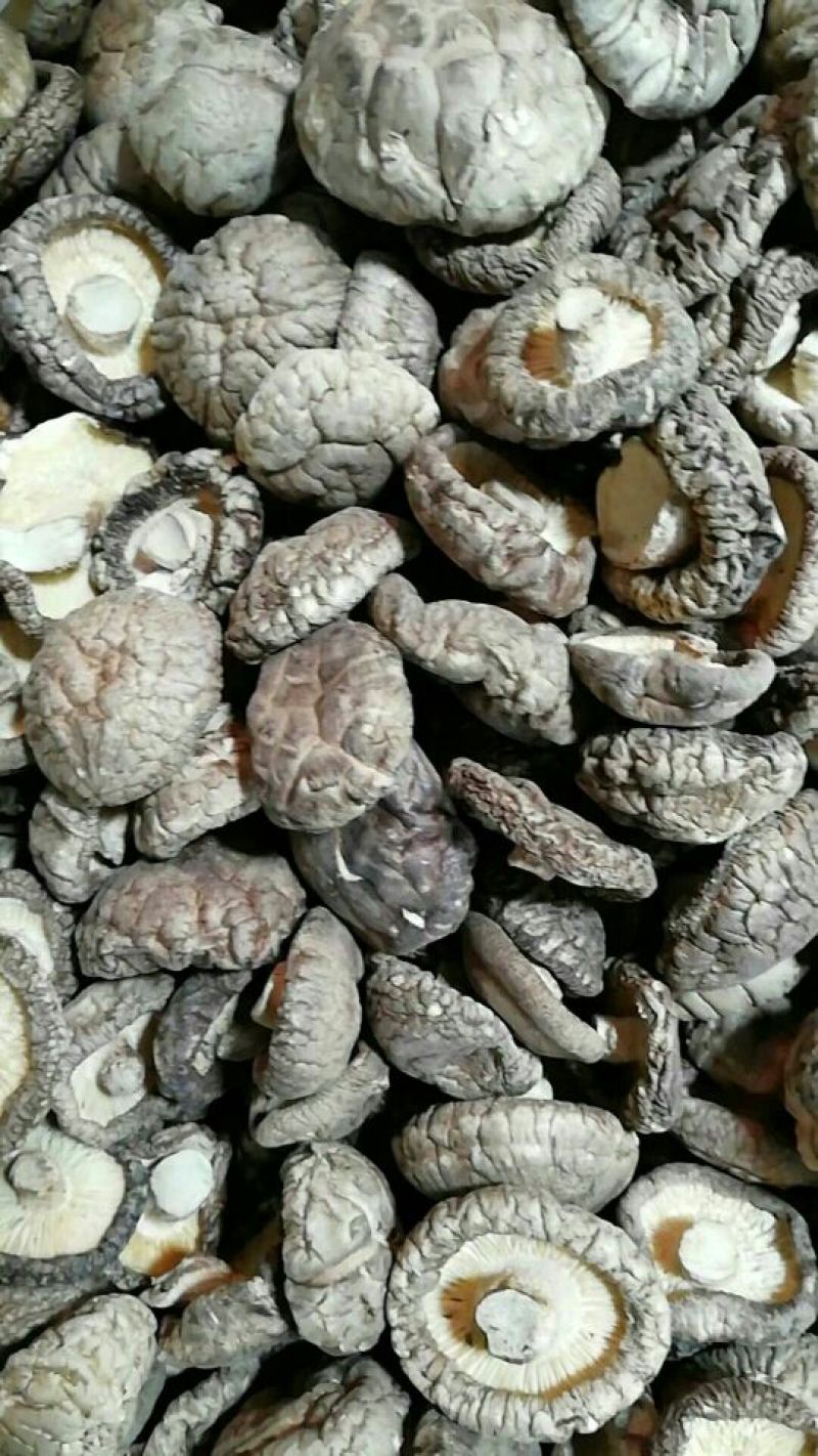 河南香菇干货特产干香菇厚菇特级精选冬菇批发包邮一件代发