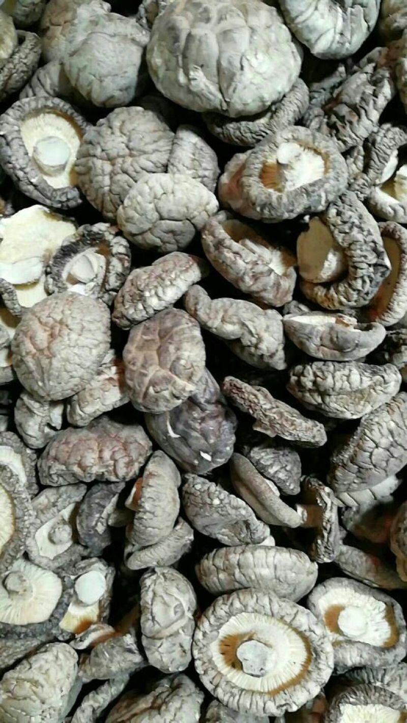河南香菇干货特产干香菇厚菇特级精选冬菇批发包邮一件代发