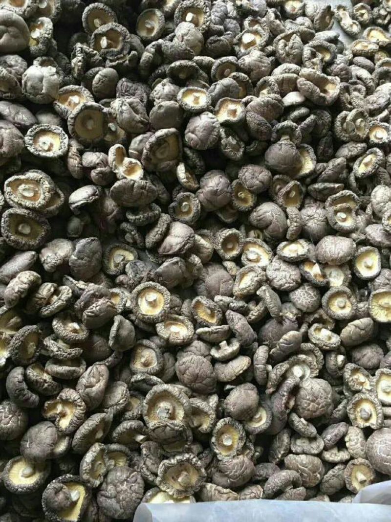河南香菇干货特产干香菇厚菇特级精选冬菇批发包邮一件代发