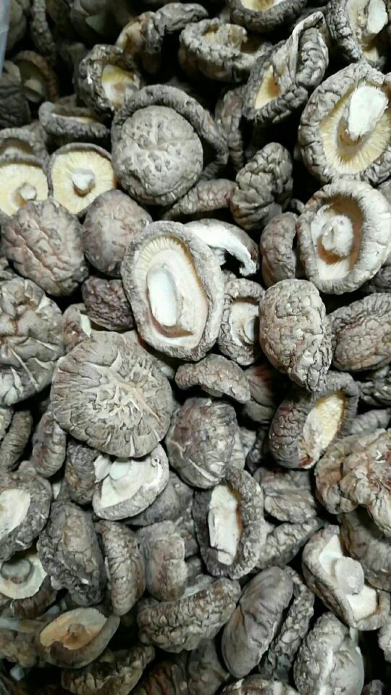 河南香菇干货特产干香菇厚菇特级精选冬菇批发包邮一件代发