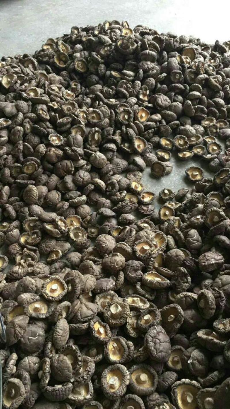 河南香菇干货特产干香菇厚菇特级精选冬菇批发包邮一件代发