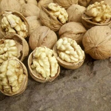 核桃去皮30~35mm干