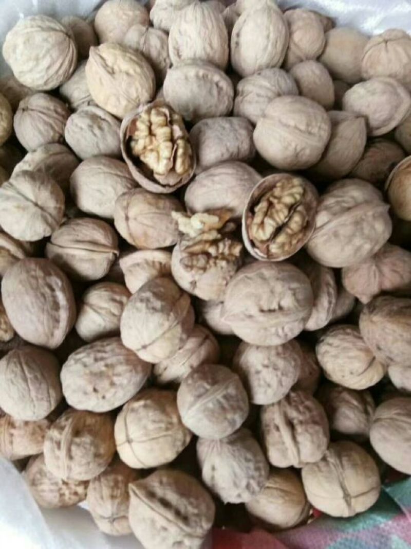 核桃去皮30~35mm干