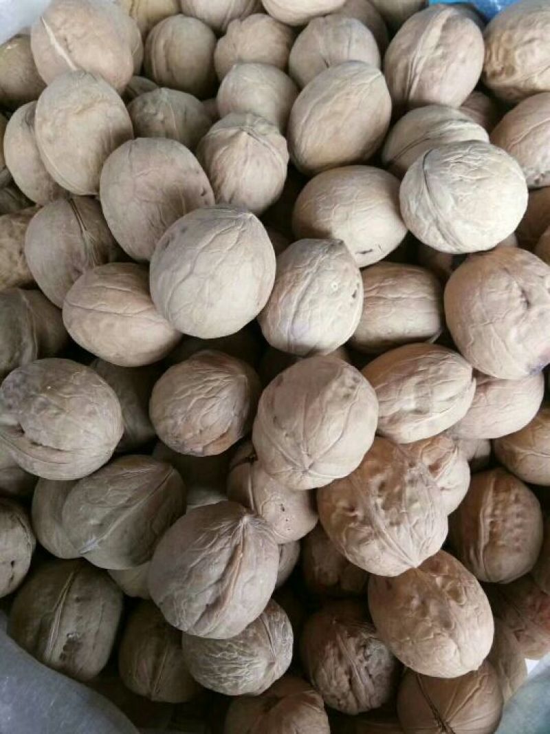 核桃去皮30~35mm干