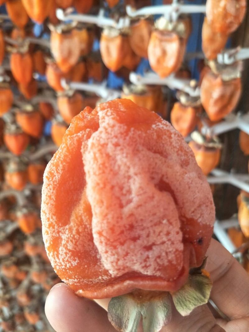 柿饼1~2两