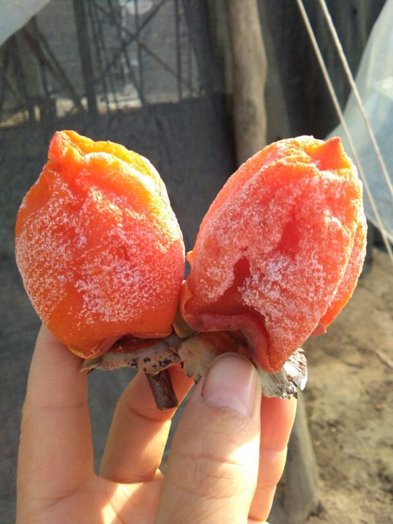 柿饼2.5两以上