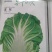 大白菜种子夏冠50白菜种子