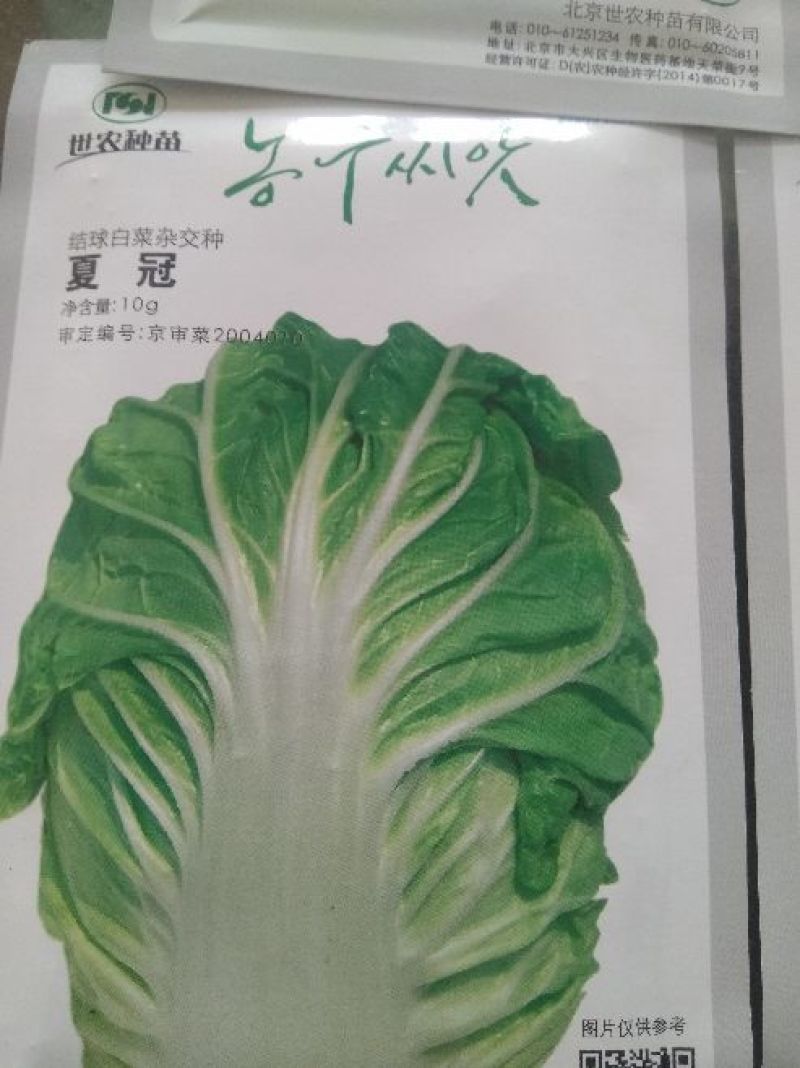 大白菜种子夏冠50白菜种子