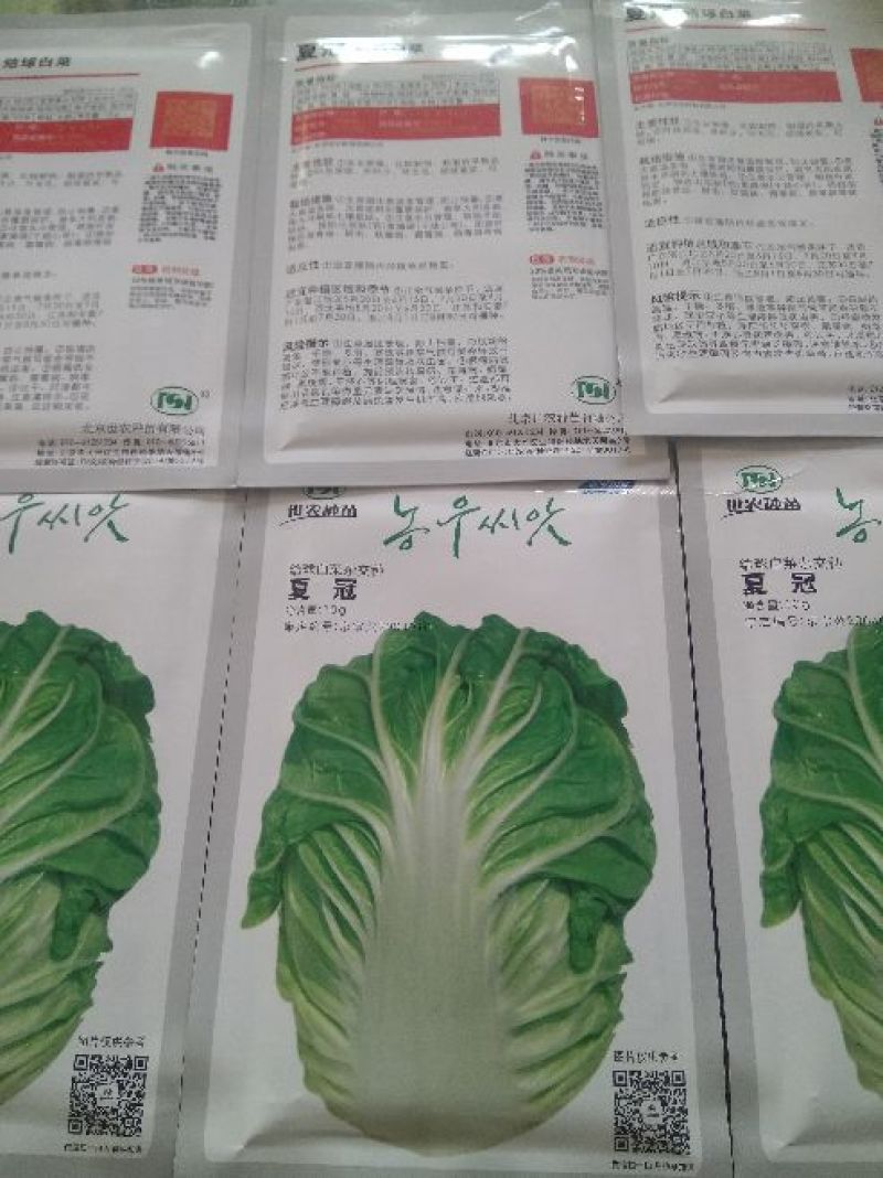 大白菜种子夏冠50白菜种子