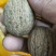 纸皮核桃去皮25~30mm干