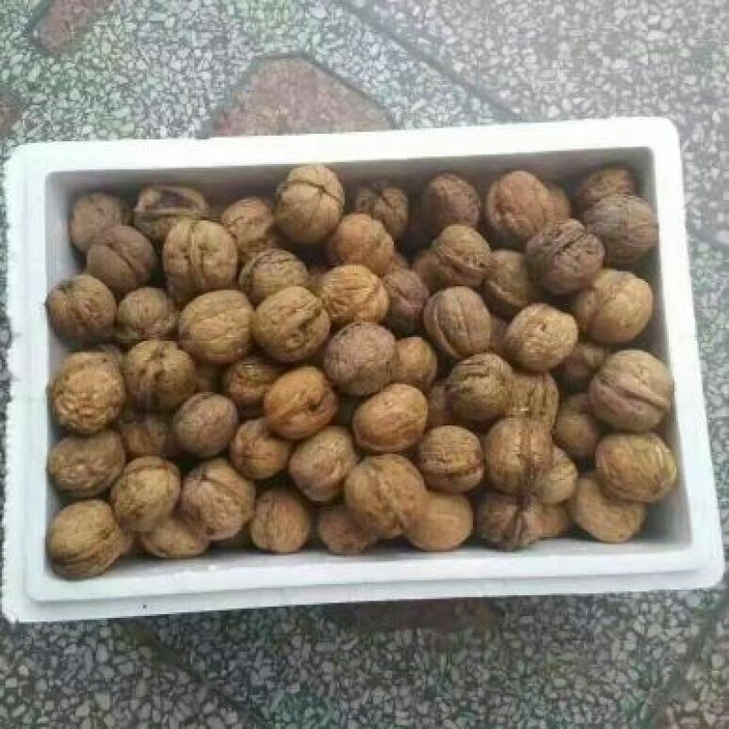 纸皮核桃去皮25~30mm干