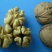 纸皮核桃去皮25~30mm干