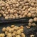 纸皮核桃去皮25~30mm干