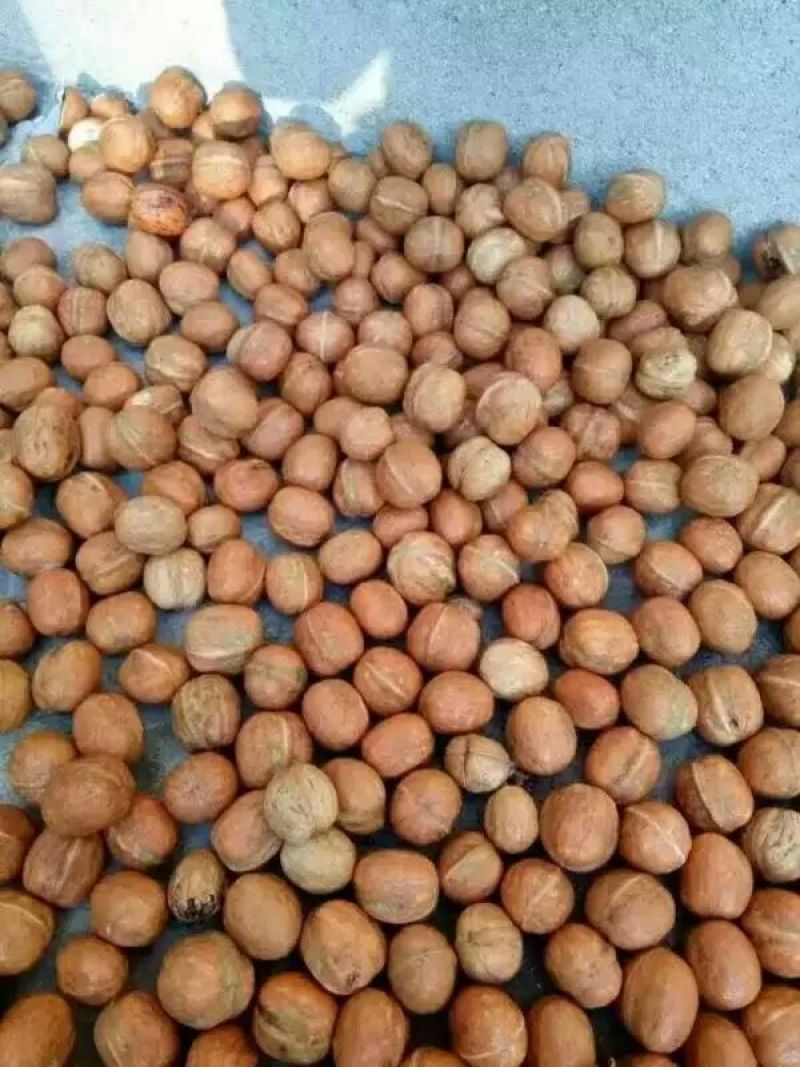 纸皮核桃去皮25~30mm干