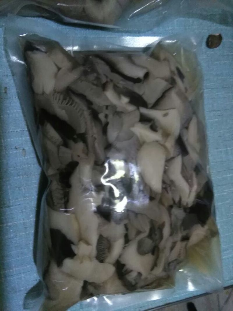 褐蘑菇一级4cm