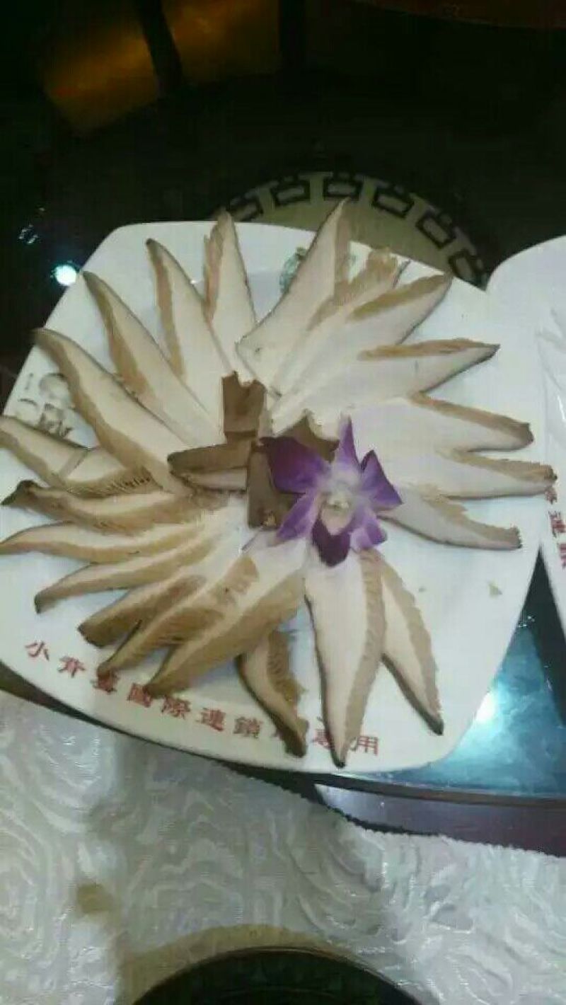 褐蘑菇一级4cm