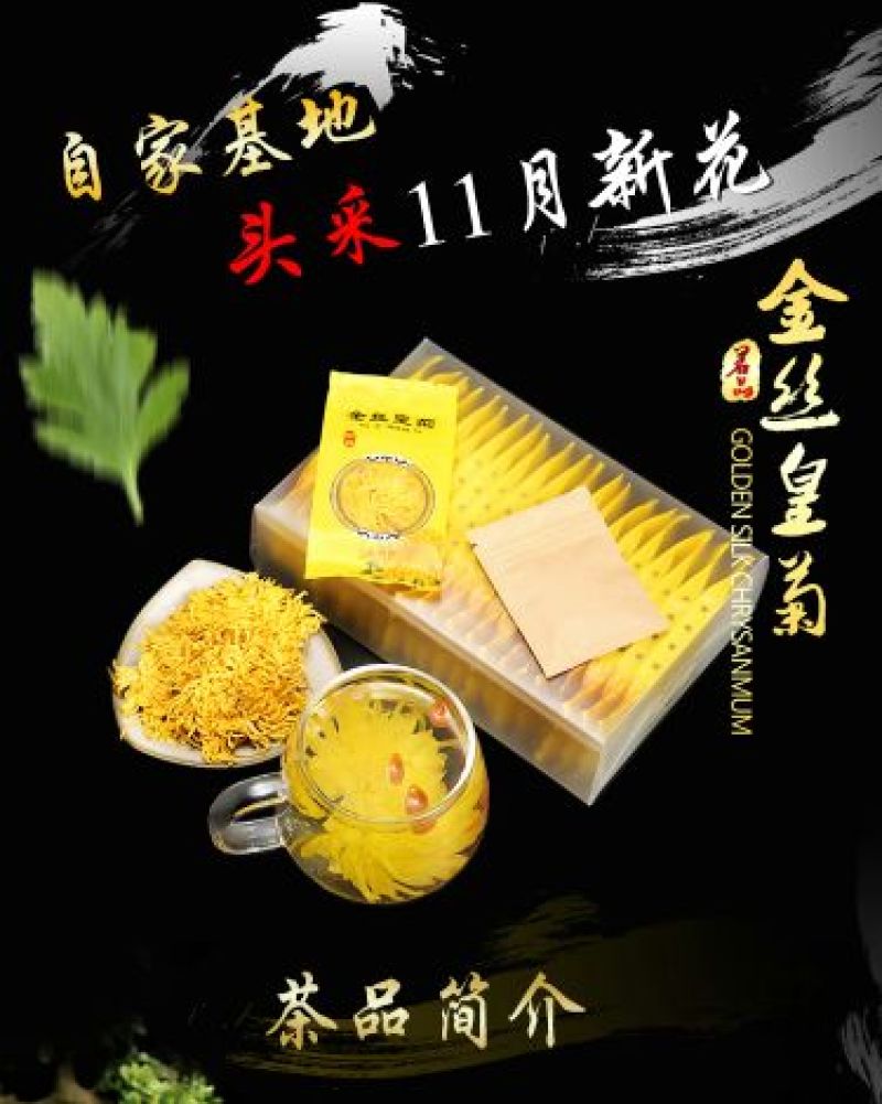 皇菊量大从优