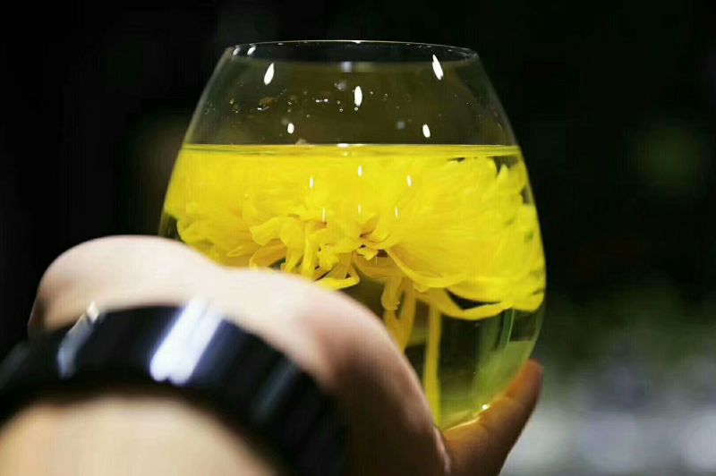 皇菊量大从优