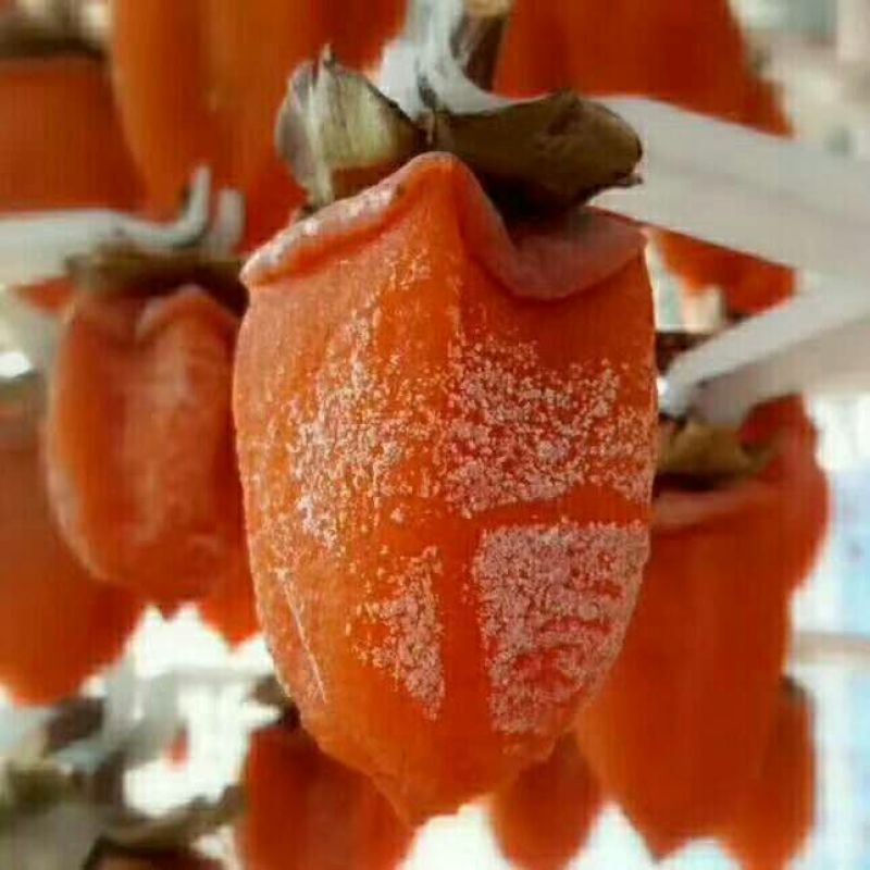 柿饼陕西富平柿饼1-2两