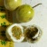 黄金百香果嫁接苗，扦插苗大量供应