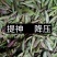 普洱茶