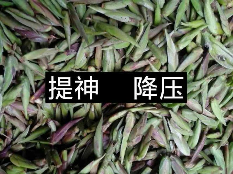普洱茶